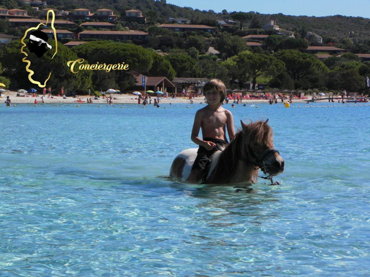 Residence Cala Sultana N62 - 4 Pers Avec Piscine Chauffee- Acces Prive A La Plage De Santa Giulia Порто-Веккіо Екстер'єр фото